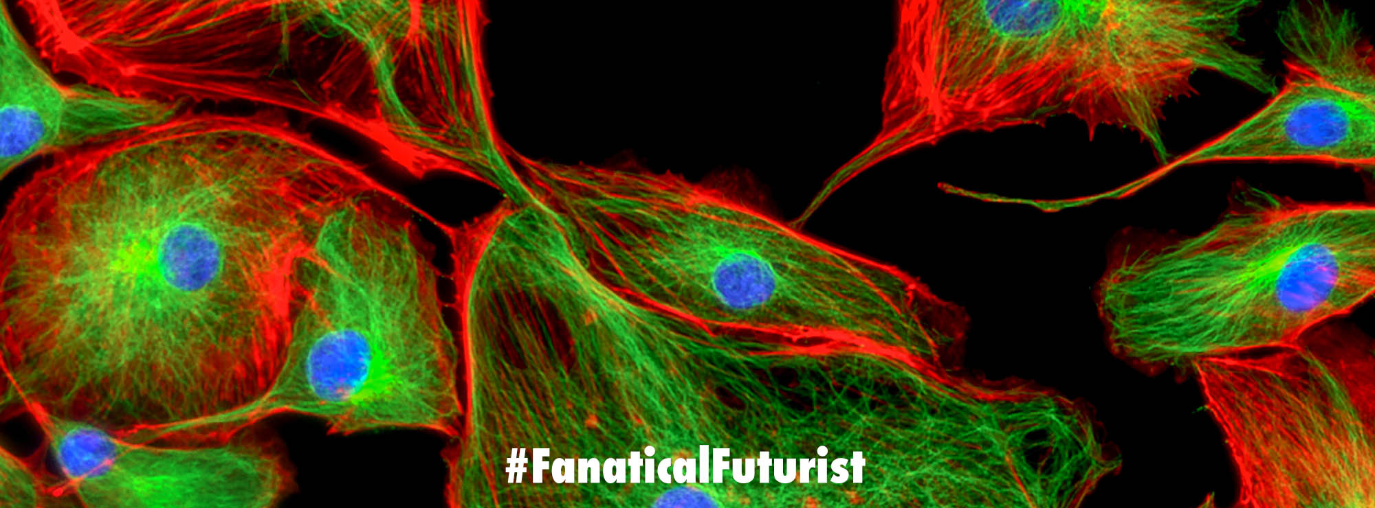 Breakthrough new process converts electricity into biological energy