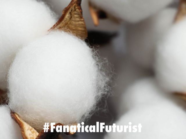 Futurist_labcotton