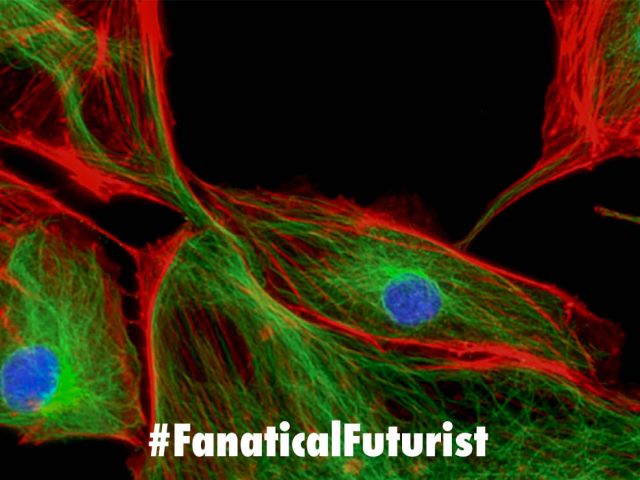 Futurist_cellatlas
