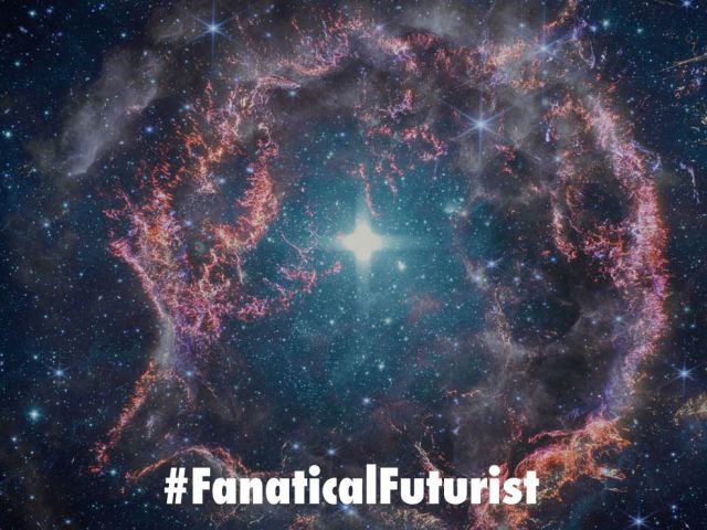 Futurist_willow