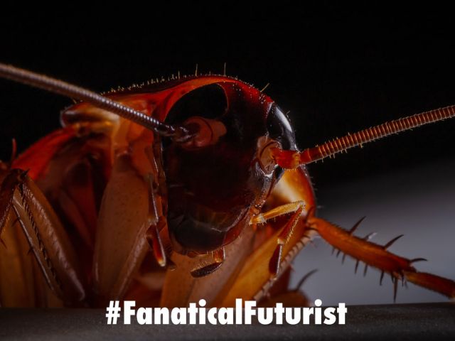 Futurist_cyborgroach