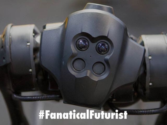 Futurist_jaildog