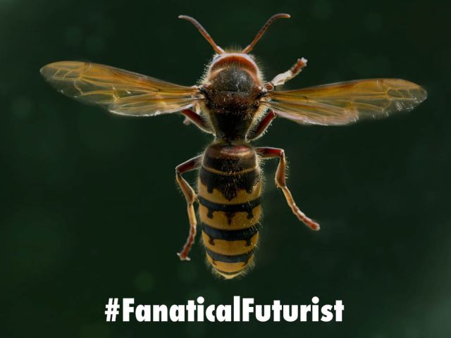 Futurist_blackhornet4