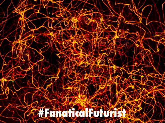 Futurist_connectnomics
