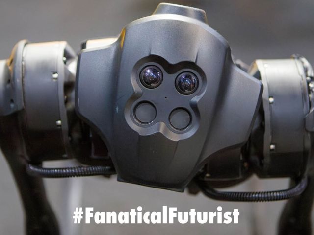 Futurist_mitdog