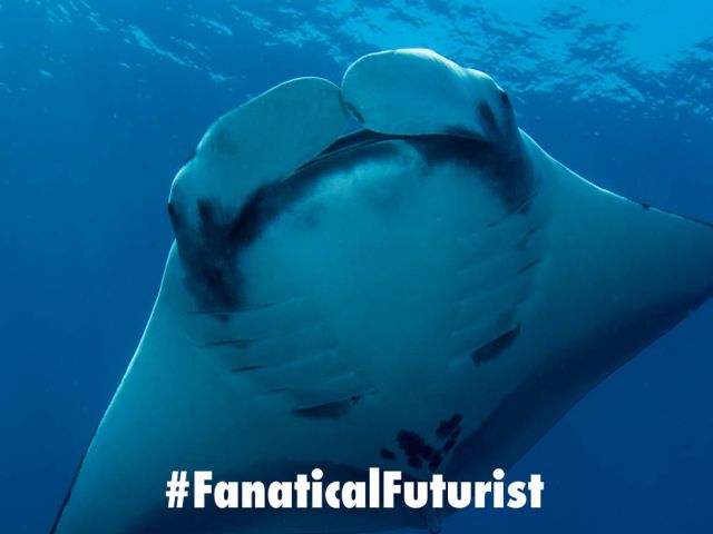 Futurist_NGmantaray