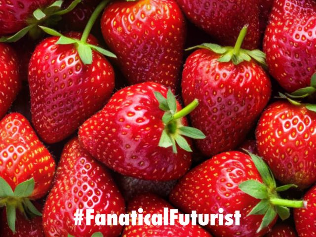 Futurist_strawberryrobot