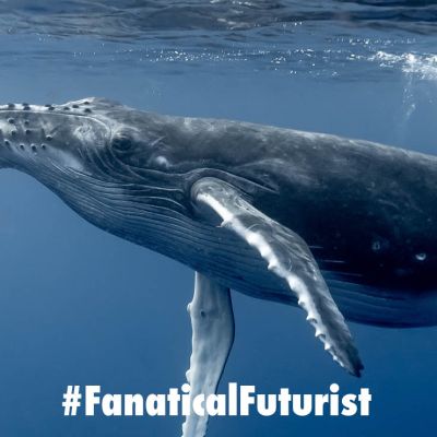 Futurist_deepseektraining