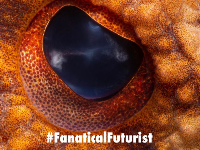 Futurist_cloakcingusa