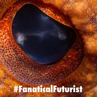 Futurist_cloakcingusa